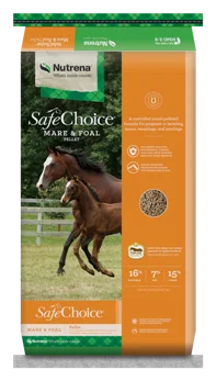 - Hamster toy recommendationsNutrena SafeChoice Mare & Foal Pelleted Horse Feed