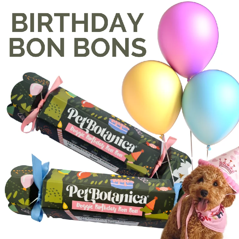 ---Dog Birthday Bon Bon