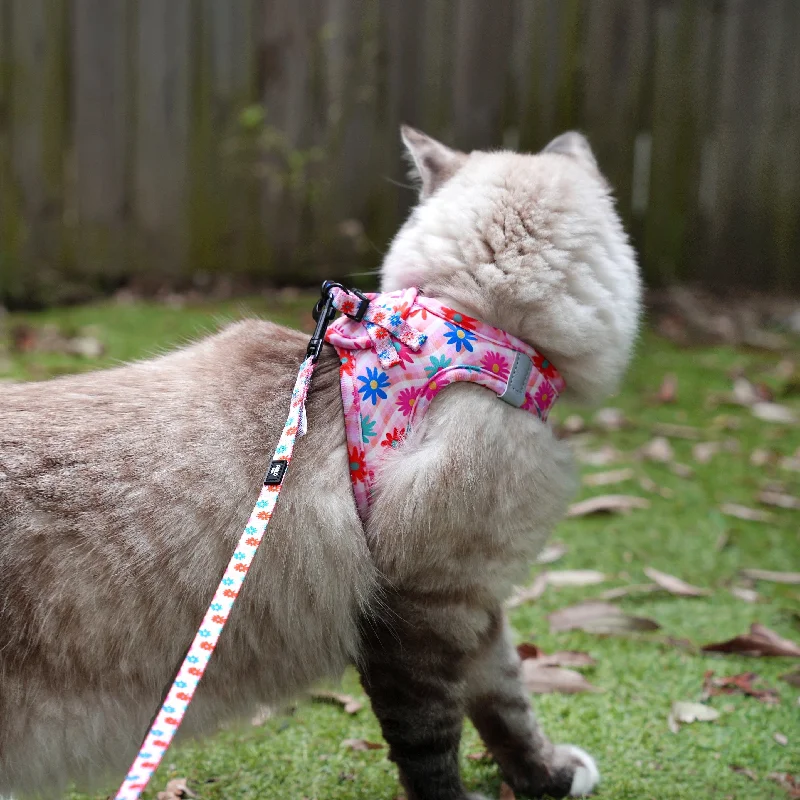 - Winter dog thick down jacketBlossom: Step In Cat Harness