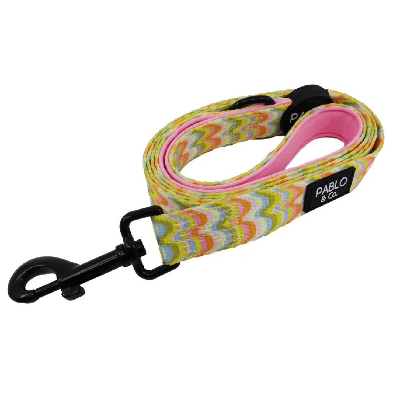 - Natural latex pet mattressBoho Waves: Dog Leash