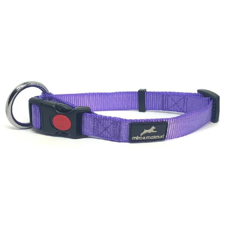 - Dog disposable foam shower gelMiro & Makauri Belay Nylon Safety Dog Collars Purple 4 Sizes