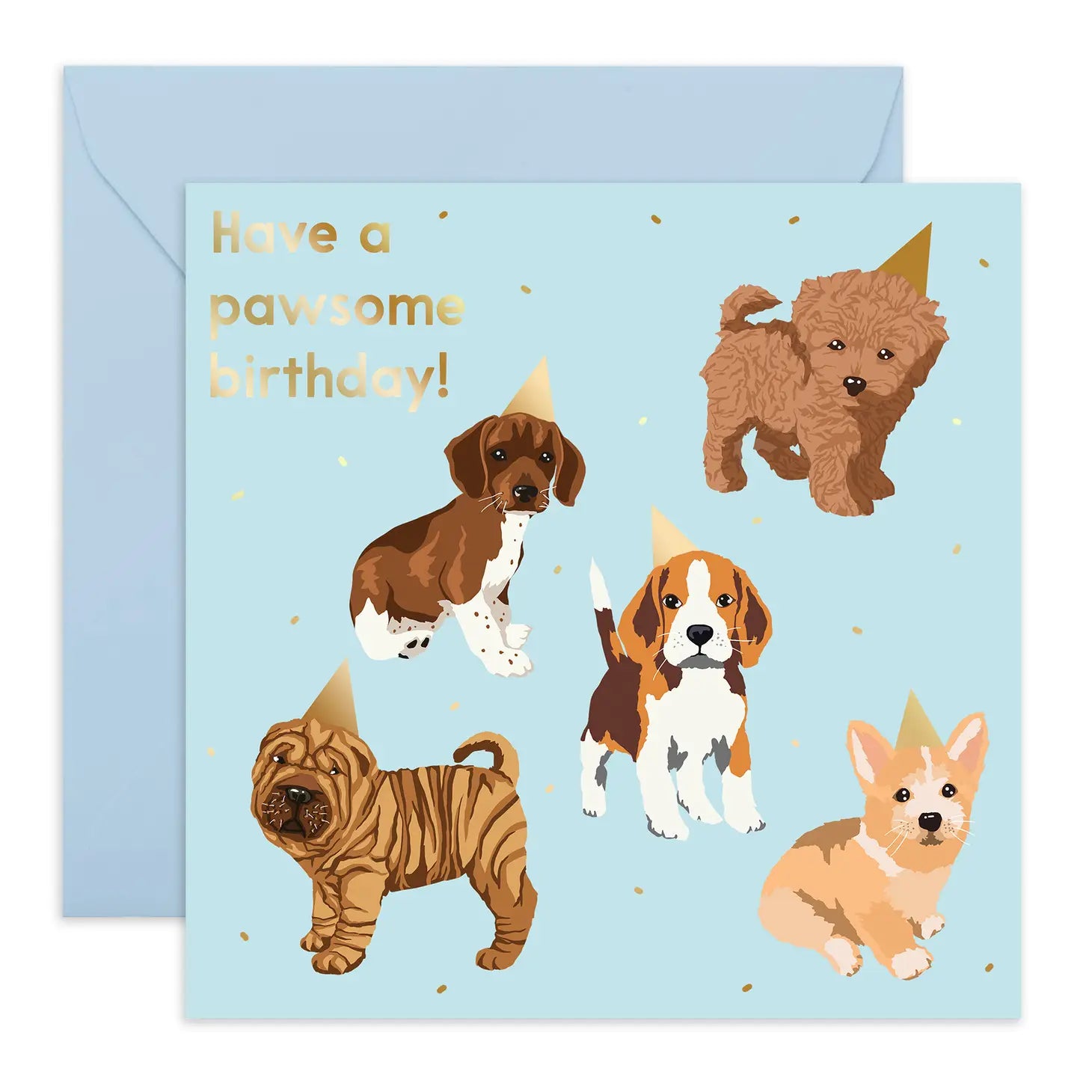 - Postoperative pet anti-licking Elizabethan collarBirthday Hat Dogs: Greeting Card