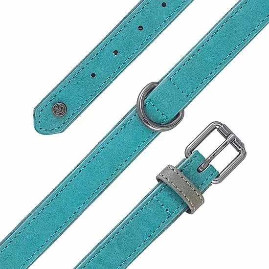 - Winter warm clothes for short-haired dogsSotnos Brights Aquatech Dog Collar Teal