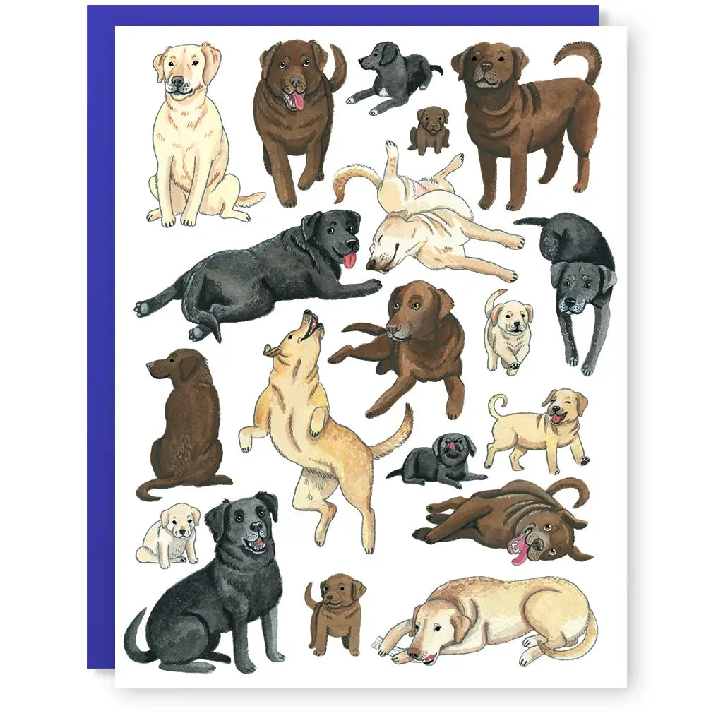 - Dog heart rate monitoring collarLabradors: Greeting Card