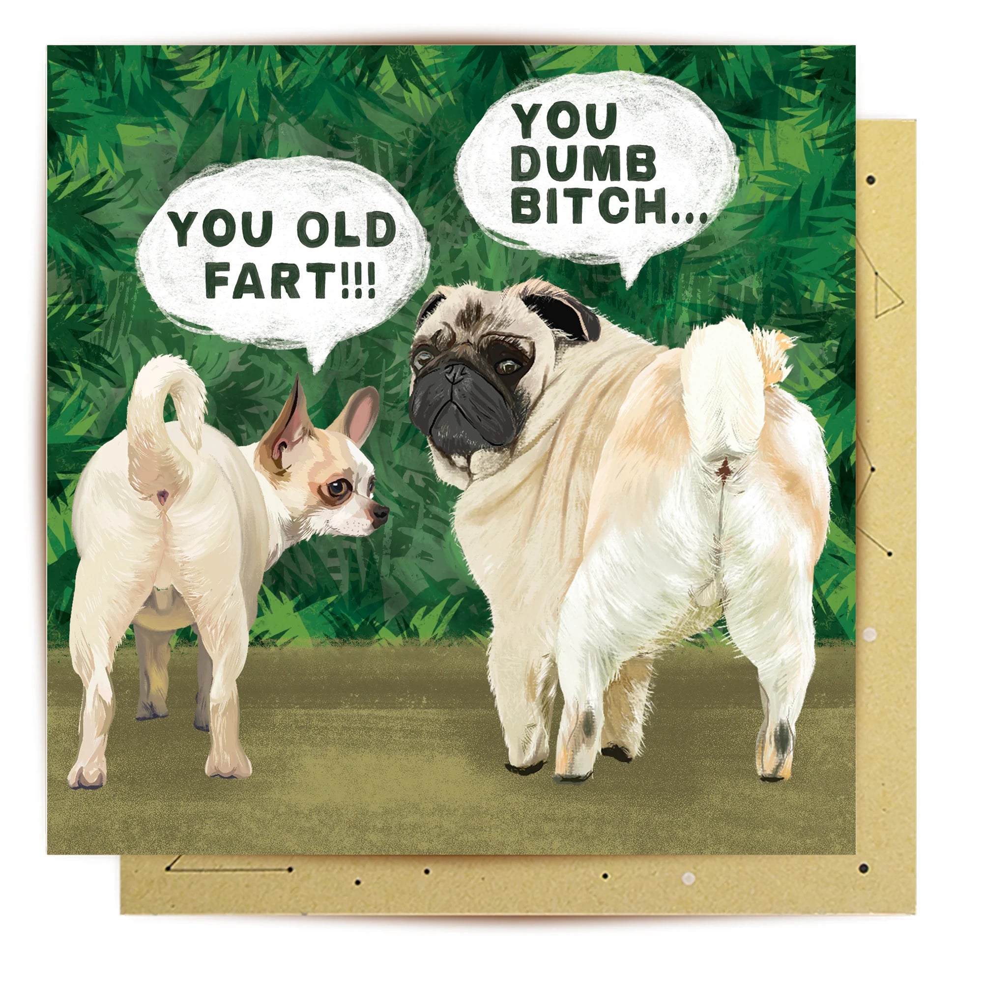 - Remote interactive pet feederOld Fart Dumb Bitch: Greeting Card