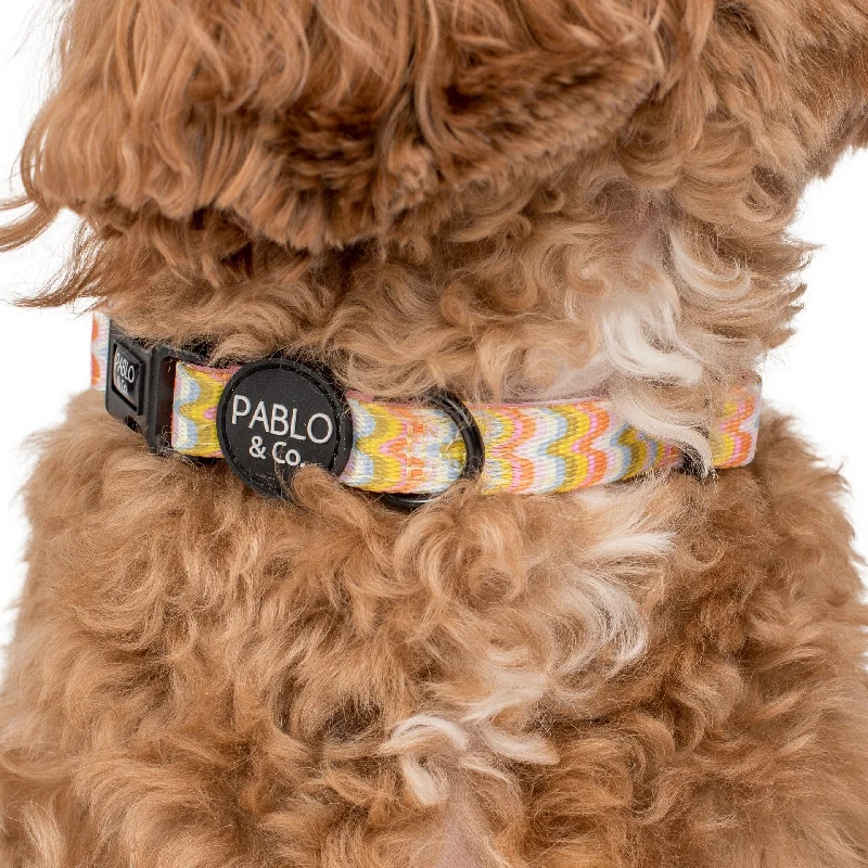 - Durable nylon dog leash wholesaleBoho Waves: Collar