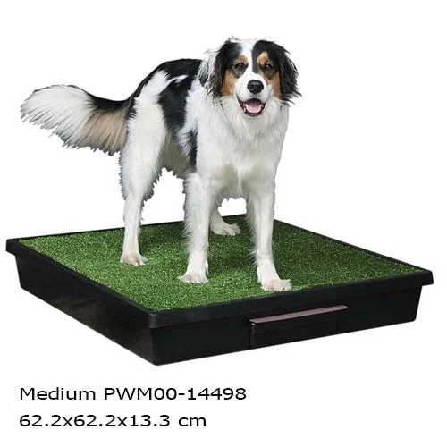 - Dog disposable foam shower gelPet Safe Pet Loo Portable Pet Potty medium 62.2 X 62.2 X 13.3 Cm