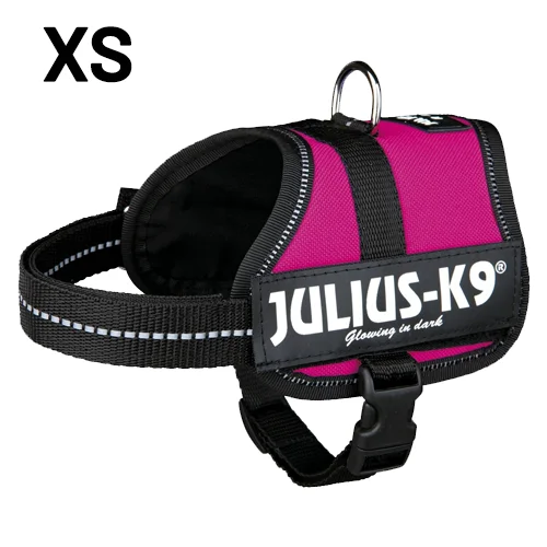 - Pet monitor with cameraJULIUS-K9 IDC-POWERHARNESS SIZE: MINI-MINI DARK PINK