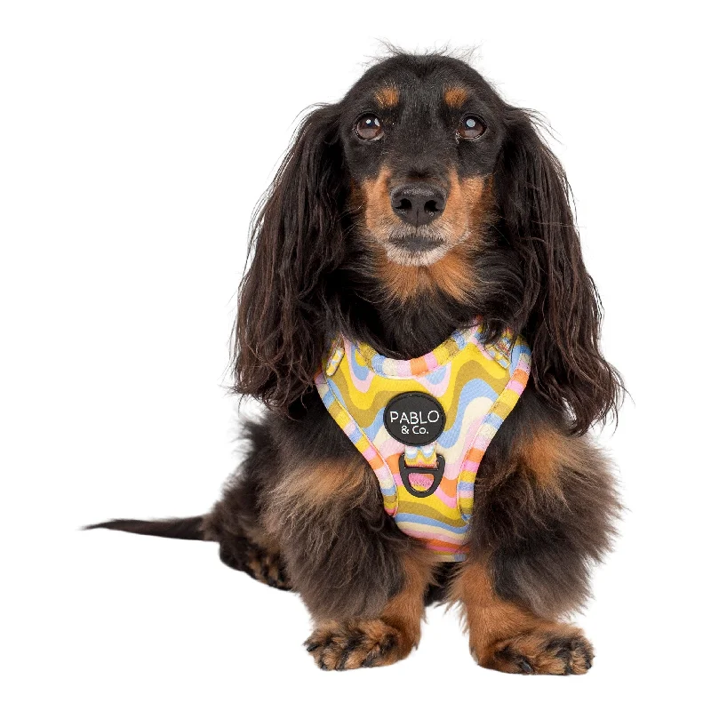 Pet ProductsBoho Waves: Adjustable Harness