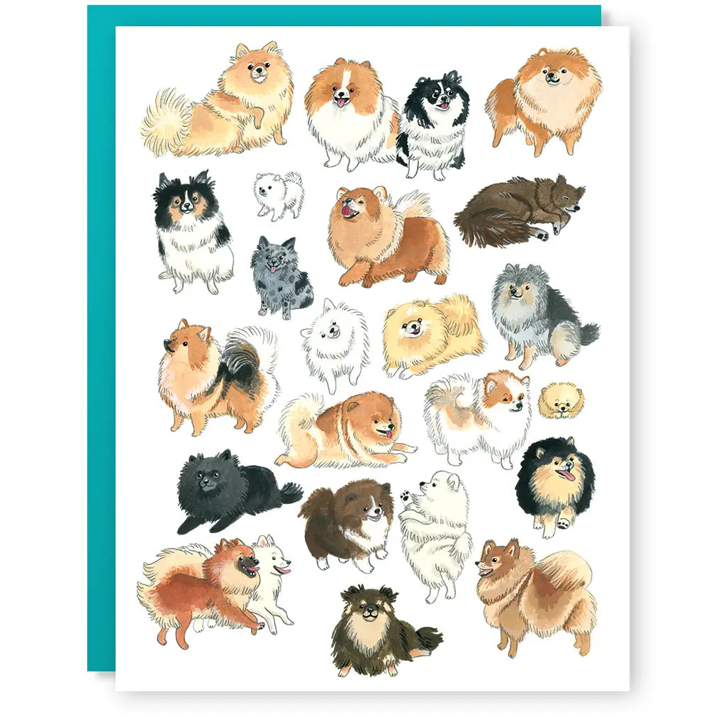 - Deodorizing cat litter tofu litterPomeranian: Greeting Card