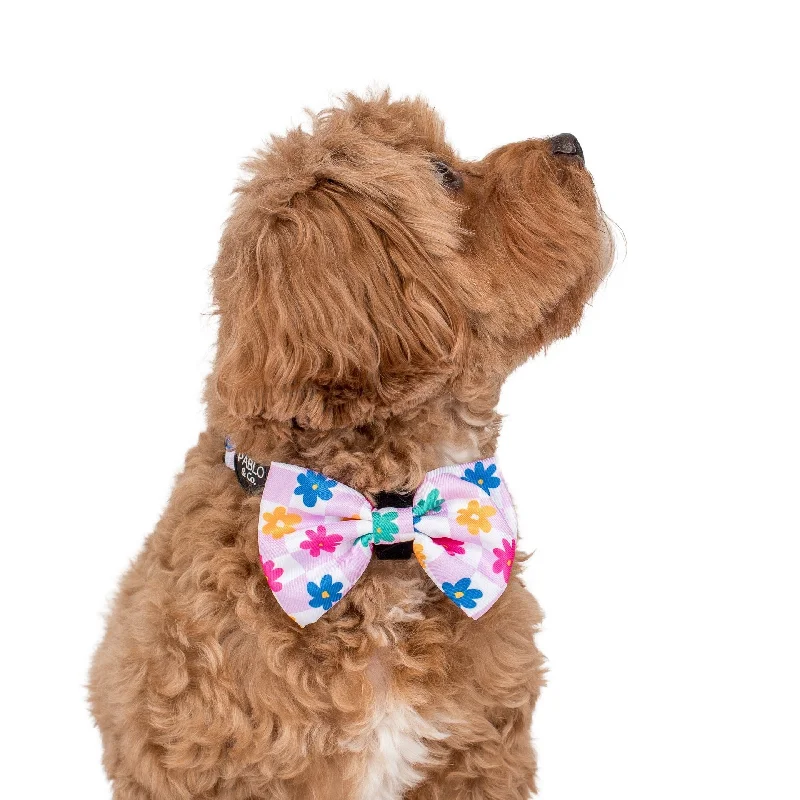  -Splash-proof food bowl AND Anti-choking slow food bowlDelightful Daisies: Bow Tie