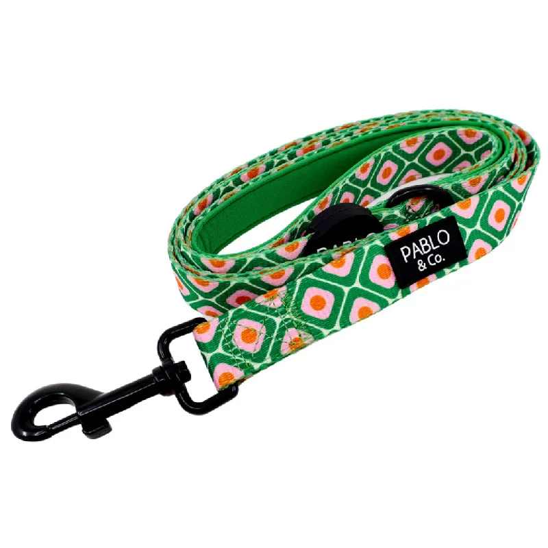 - Foldable and portable cat bag70's Style: Dog Leash