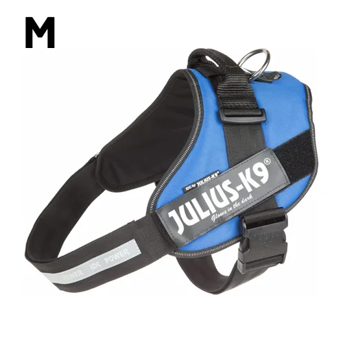  -Non-contact cat thermometerJULIUS-K9 IDC-POWERHARNESS SIZE: 0 BLUE