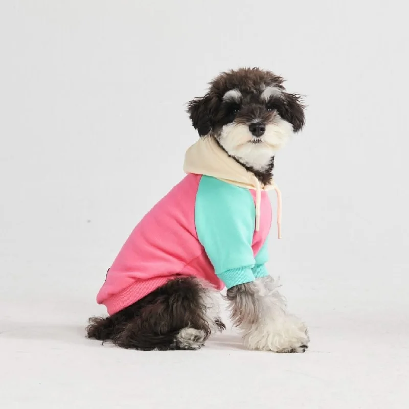 Pet winter warm clothesPink Turquoise Cream Color Block Dog Hoodie