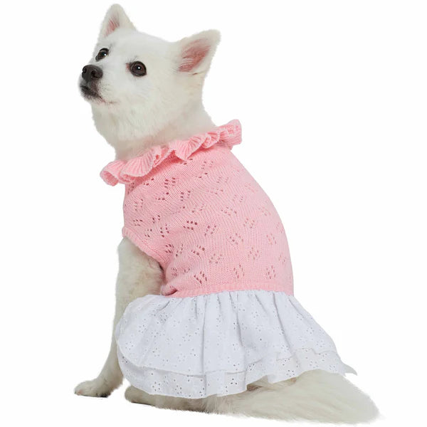 Pet winter warm clothesMy Cutie Princess Ruffle Collar Dog Sweater Dress